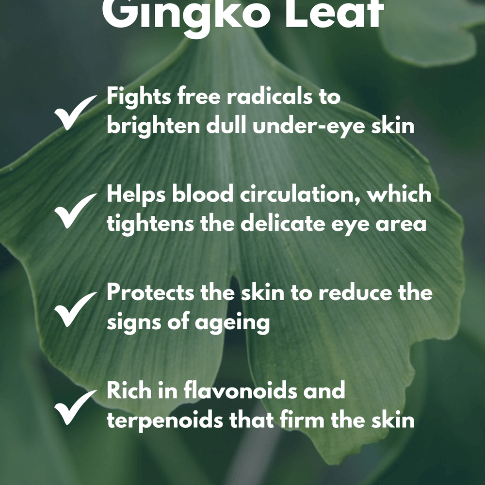 gingko leaf eye cream for men